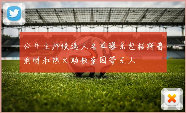 公牛主帅候选人名单曝光包括斯普利特和热火助教奎因等五人