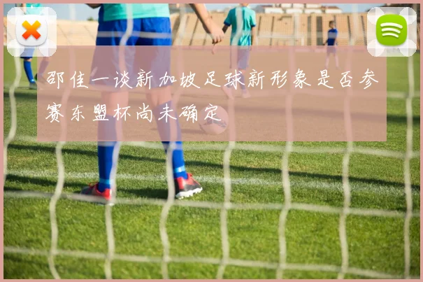 邵佳一谈新加坡足球新形象是否参赛东盟杯尚未确定