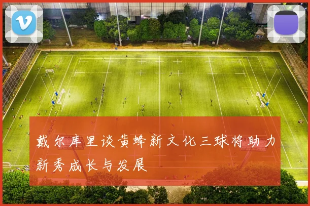戴尔库里谈黄蜂新文化三球将助力新秀成长与发展