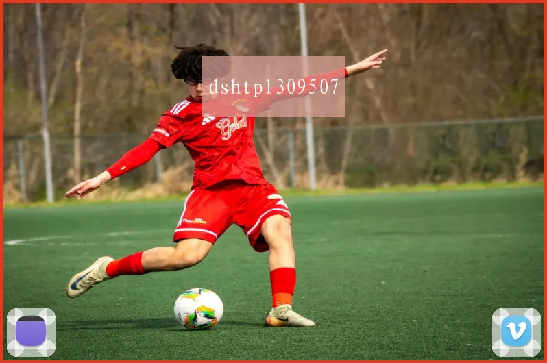 dshtpl309507