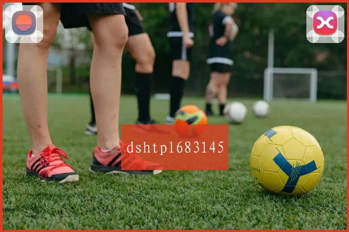 dshtpl683145